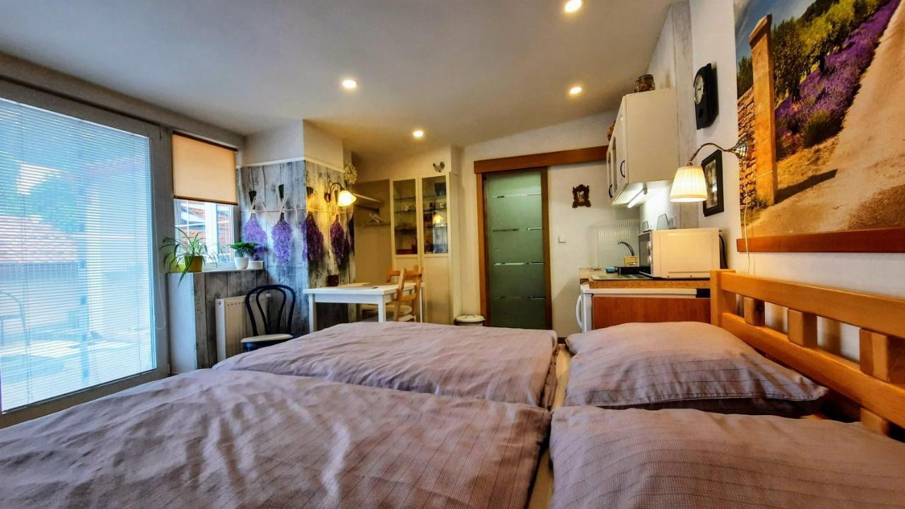 Apartman Za Kopcem Boskovice Extérieur photo